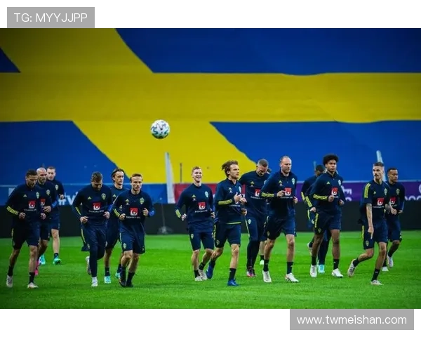 2017年欧洲足球赛事(2017欧洲杯全部战绩)sports 2017年欧洲足球赛事(2017欧洲杯全部战绩)sports